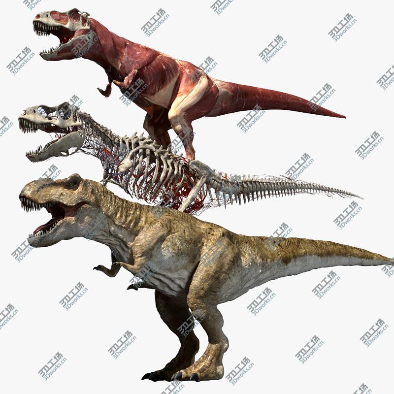 images/goods_img/202104092/T Rex Anatomy 3D 3D model/1.jpg